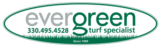 Evergreen Turf Specialist