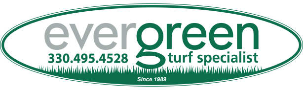 Evergreen Turf Specialist